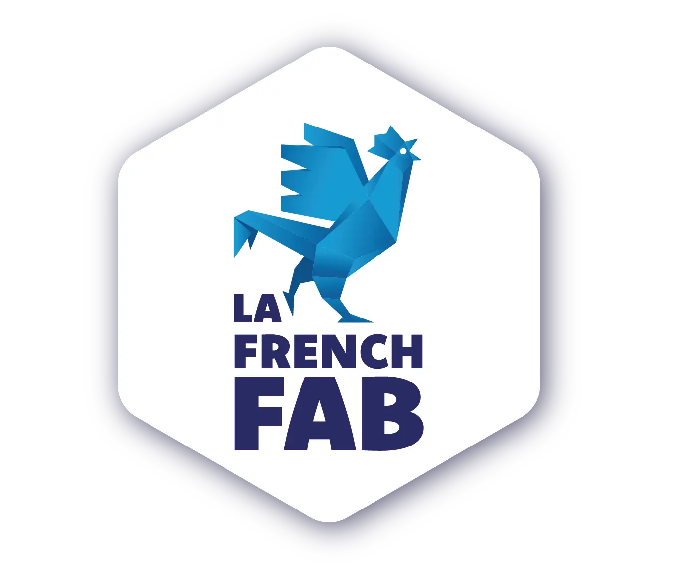 Engagement 4 : Expertise française
